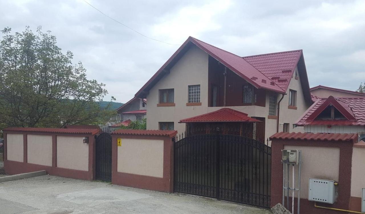 Vila De Vacanta Curtea De Arges Exterior photo